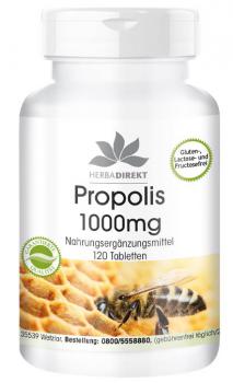 Propolis-Extrakt 1000mg, 120 Tabletten, 3% Galangin