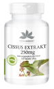 Cissus Extrakt 250mg 20% Ketosterone, vegan  (120 Kapseln)